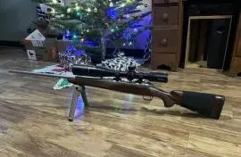 Winchester model 70 stainless