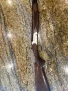 Stevens 555 410 Gauge Over/Under