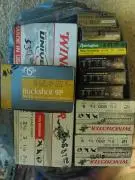 12 Gauge Ammo