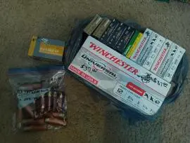 12 Gauge Ammo