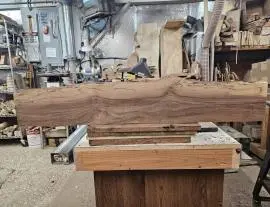 Black Walnut Gun Stock